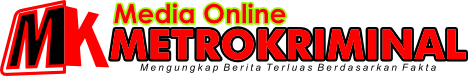 METRO KRIMINAL